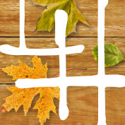 Laraine Herring monogram logo. Square photo of wood with leaves with intersecting white L and H.