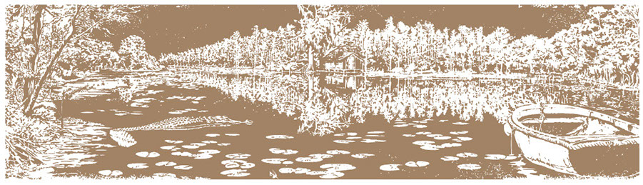 Sepia graphic illustration of swamp. Trees, boat, house and alligator are featured.